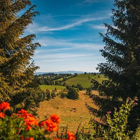 Szarotka Bed & Breakfast 3*