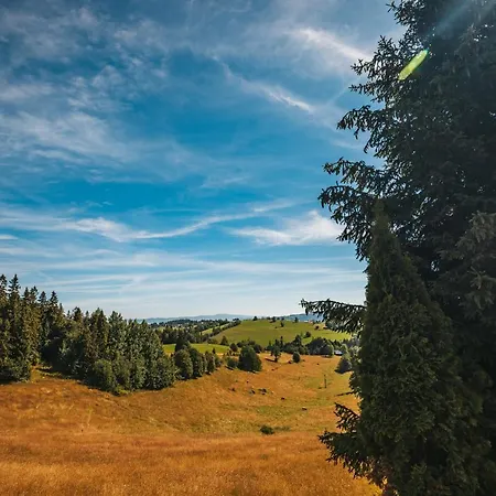 Szarotka Bed & Breakfast Gliczarów