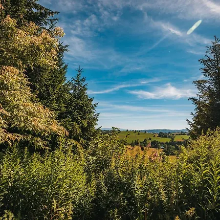 Bed & Breakfast Szarotka Gliczarów