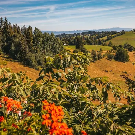 Szarotka Bed & Breakfast 3*