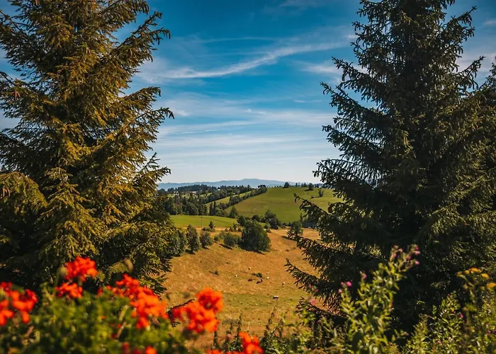 Szarotka Oda ve Kahvaltı 3*