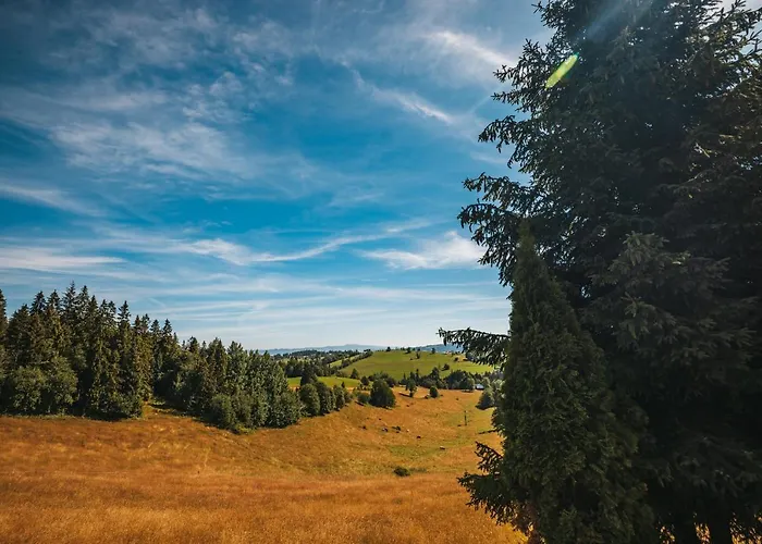 Szarotka Bed & Breakfast Gliczarów