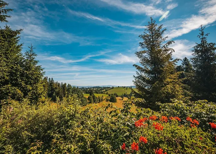 Bed & Breakfast Szarotka 3*